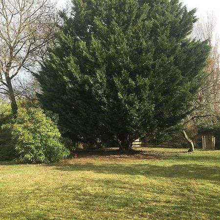 La Grange de la Batone - Bed&Breakfast Messimy-sur-Saone Esterno foto