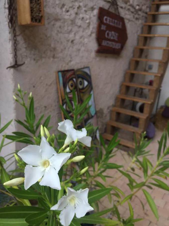 La Grange de la Batone - Bed&Breakfast Messimy-sur-Saone Esterno foto