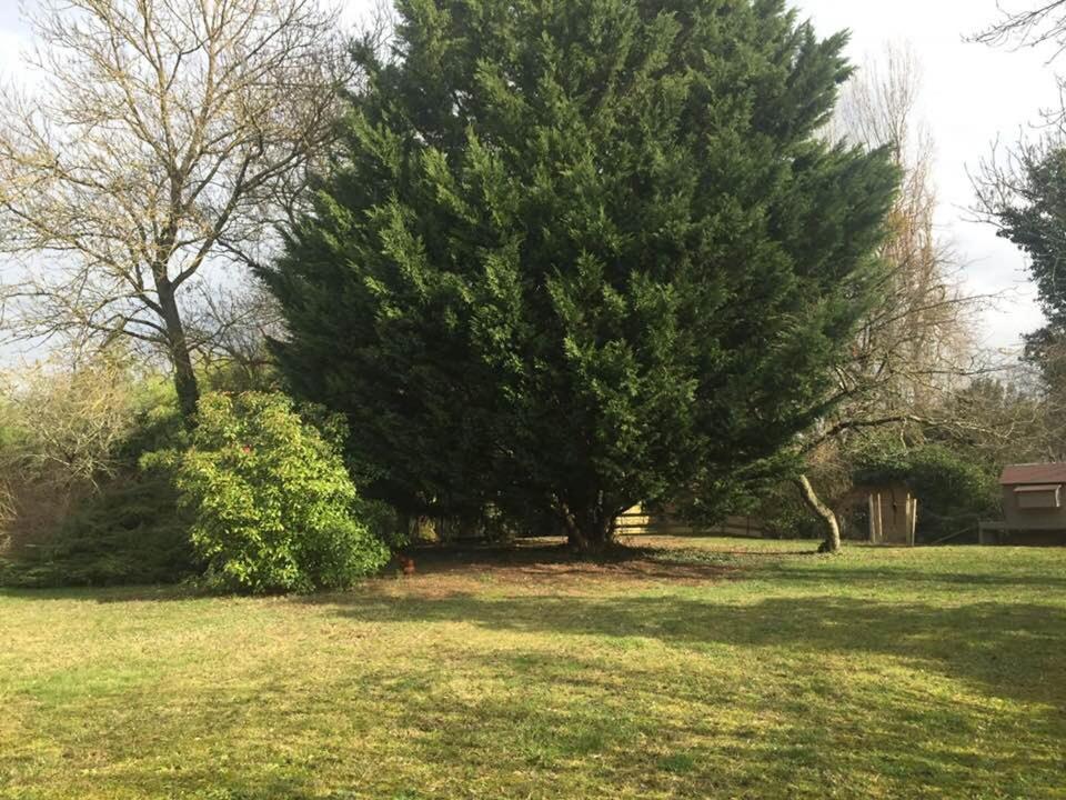 La Grange de la Batone - Bed&Breakfast Messimy-sur-Saone Esterno foto